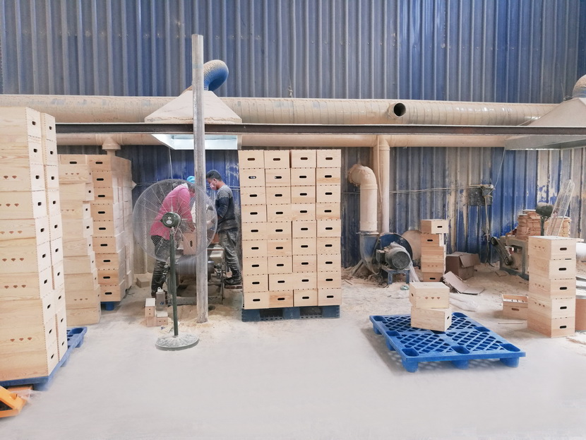Workshop
